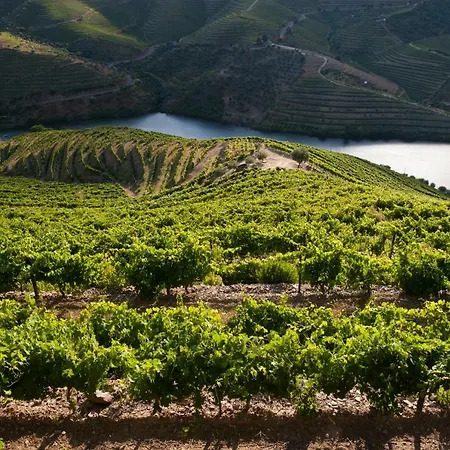Alloggio per agriturismo Quinta Do Cachao *